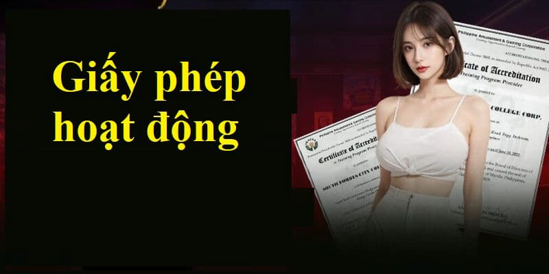 Giấy phép hoạt động Các cơ quan cấp Giấy phép hoạt động uy tín